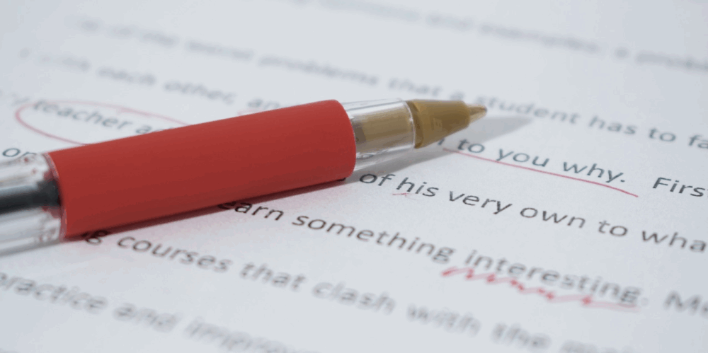 orthographe CV Elaee recrutement communication marketing digital