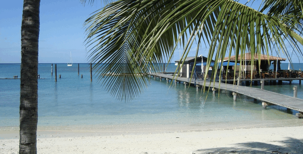 vacances et productivité Elaee recrutement communication marketing digital