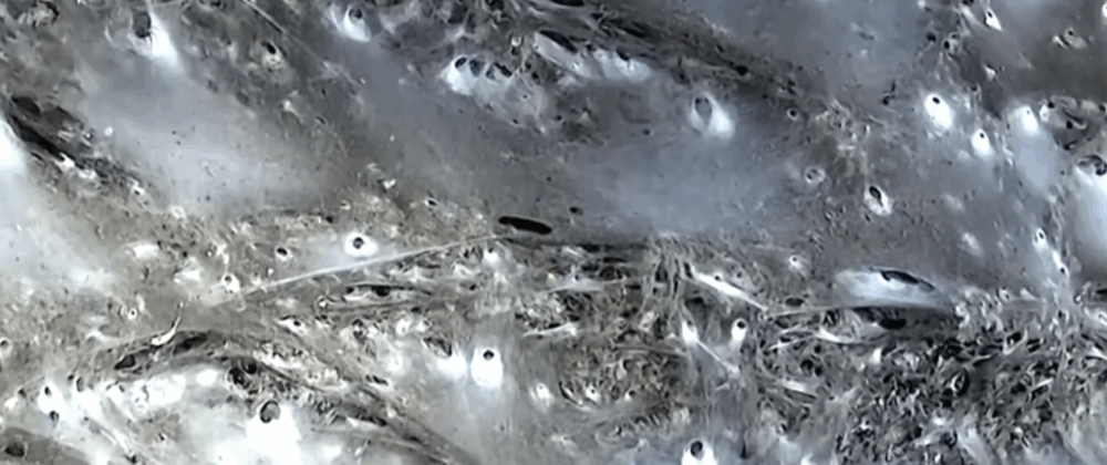 grottes à la mode elaee recrutement communication marketing digital