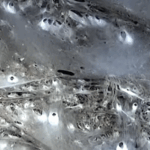 grottes à la mode elaee recrutement communication marketing digital