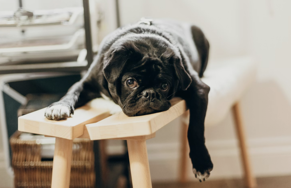 l'ennui ça s'apprend elaee recrutement communication marketing digital