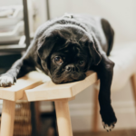 l'ennui ça s'apprend elaee recrutement communication marketing digital