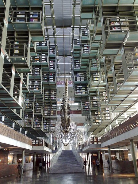 Bibliothèque Mexico, Mexique