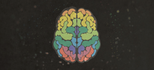 Cerveau et symbolique des couleurs