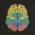 Cerveau et symbolique des couleurs
