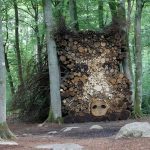 du land art dans la forêt