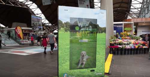 street marketing avec chien virtuel