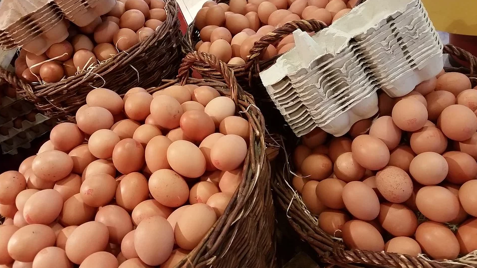 travail ne pas mettre tous ses oeufs