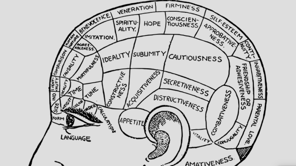 Elaee et le bonheur dans le cerveau