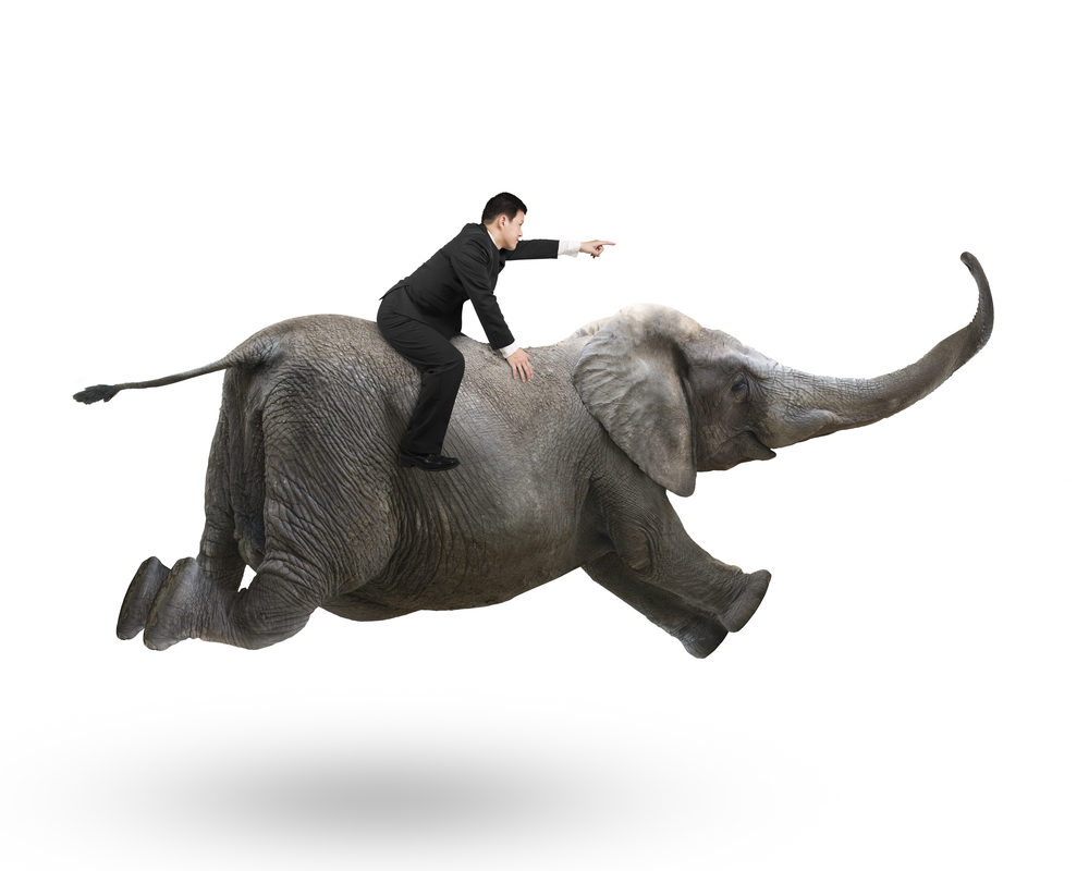 L'entrepreneur se doit d'être agile