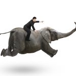 L'entrepreneur se doit d'être agile